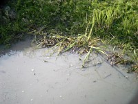 �����c�����l��