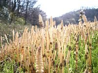 �y�M�A��������