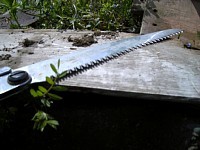 �ƃm�R�M��