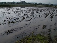 ���𒣂����c���