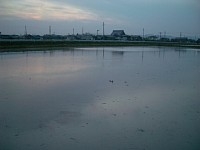 �c�ӂ�����