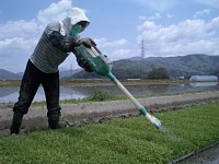 ���{�p�܂̎U�z