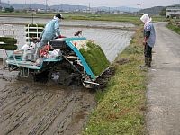 �c��ڂ̒[����������A���܂�