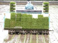 �c�A���@�̋O��