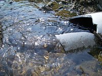 �������琅�����܂�