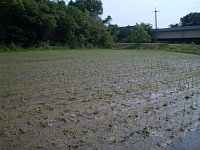 ���������c���