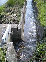 �p�����琅�������܂�