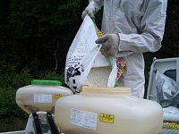 �엿�𓮂ӂ��