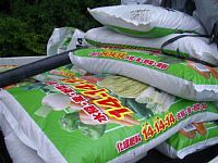 ���ɗp����엿