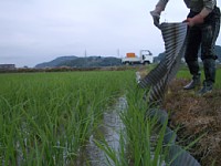 �l�V�[�g�O��