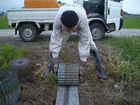 �l�V�[�g�������܂�