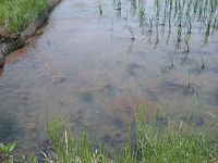 �c�������Ă܂�