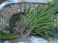 ���t������