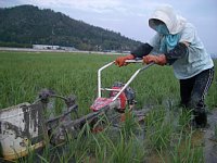 ���������`���Ă���܂���