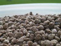 ����Ȕ엿�ł�