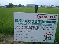 ���������̊Ŕ�