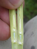 ��𔼕��Ɋ����܂�