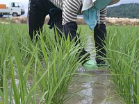 �C�{�����