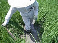 �x�łĂĂ���