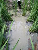 �c��ڂ̐���