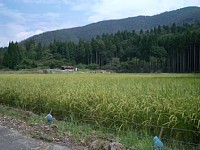 ���������܂��A����܂���