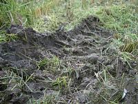 �ʂ���񂾓c���