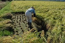 �w�����芮��