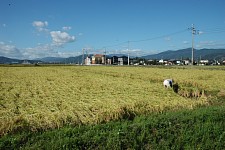 �ւ肪��̌��i