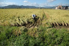 �w������