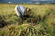 �w������