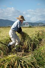 ��������͌l����