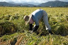 �w������