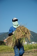 ��̑��A�d���ł�