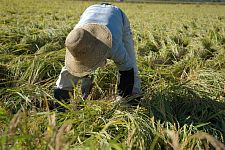 �w������