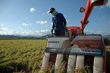 ���Ă̎��n