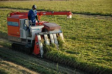 �����Ȉ��