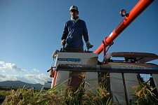 ���ɐ����o���Ƒq�h�a