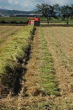 ������c���܂�