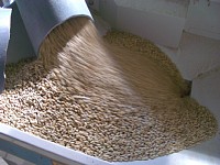 �����A������@�̒���