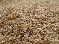 ���k�i�ʂ��j