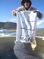 �悤�������܂�