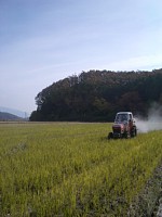 �悤���܂�