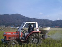 �悤���܂�