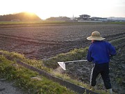 �l�̑�����