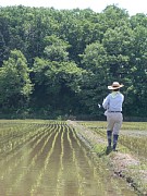 �ꔭ�����܂܂�