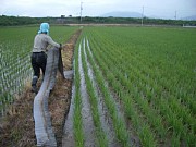 �l�V�[�g�O��