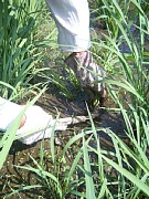 �����@��2���E���h