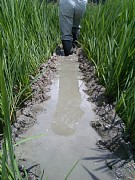 �x�łĂĂ���