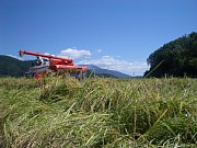 ���Ă̎��n�őO��