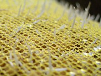 �肪�o�܂���